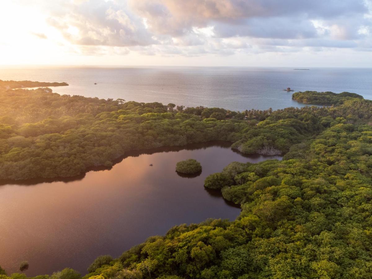 Rosario Ecohotel Isla Grande  Bagian luar foto